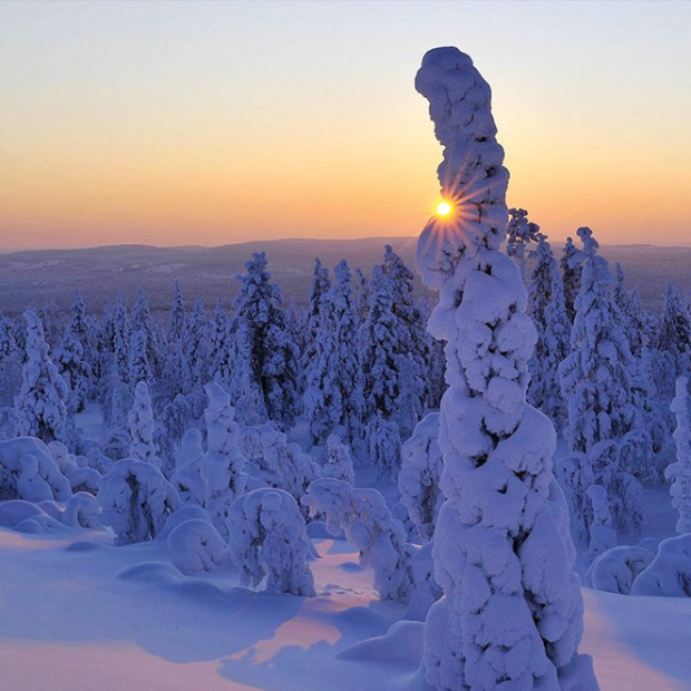 Jaunais Gads Lapzemē