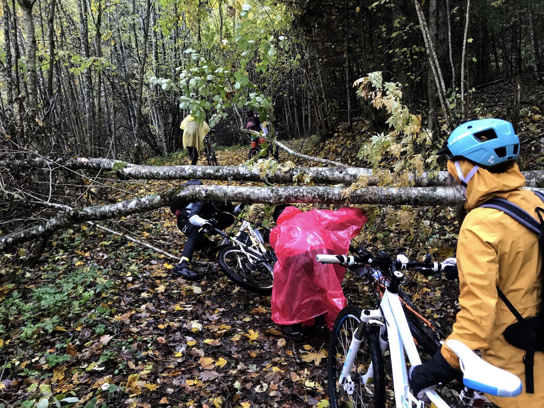 Velobrauciens Pokaiņi - Tērvete