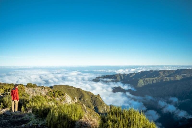 Madeira Jaunā Gadā